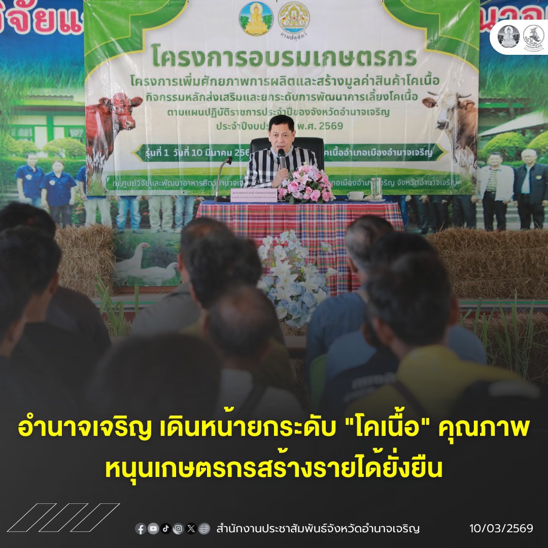 อำนาจเจริญ เดินหน้ายกระดับ "โคเนื้อ" คุณภาพ หนุนเกษตรกรสร้างรายได้ยั่งยืน