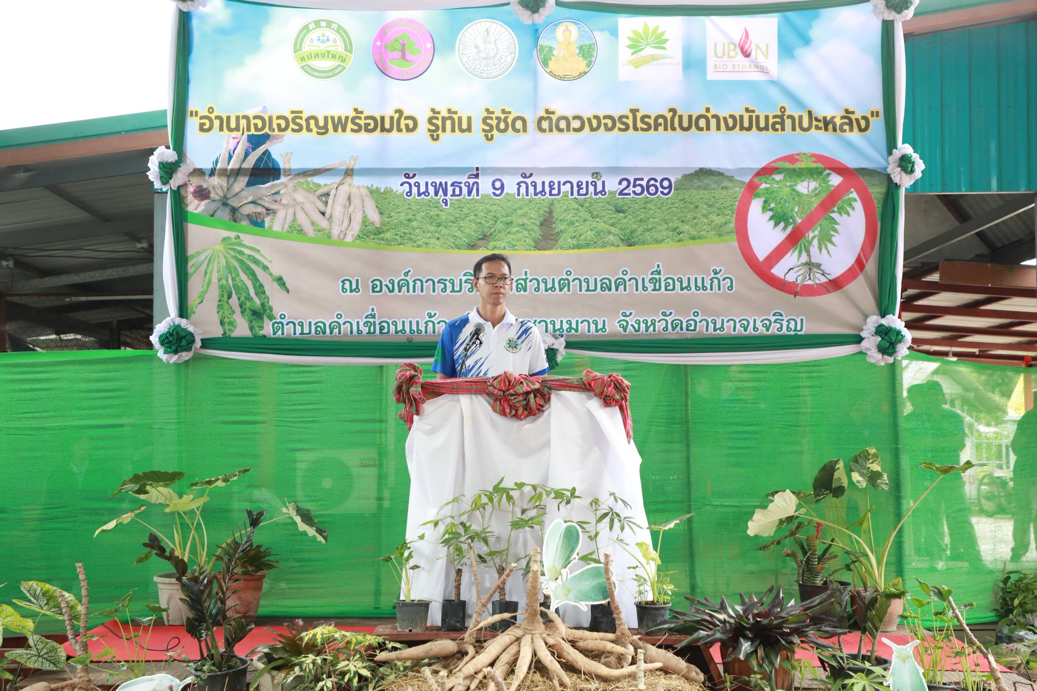 เกษตรจังหวัดอำนาจเจริญ สร้างการตระหนักรู้โรคใบด่างมันสำปะหลัง เดินหน้า "รู้ทัน รู้ชัด ตัดวงจร" เสริมความเข้มแข็งให้เกษตรกรแปลงใหญ่